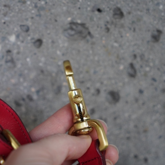 Watermelon Mulberry Alexa - Picture 5 of 15